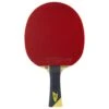 Tibhar Master Yellow Edition Table Tennis Bat (Flared) -Ball Supplies Store ke53dd0c6bf9270b22e4deffe52ee9fe5